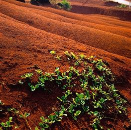 《龙珠战士Z》“生化人21号（白衣）”现已推出 Steam特别好评